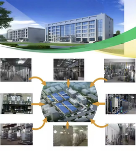 Thực phẩm hữu cơ cấp màu xanh lá cây WheatGrass nước trái cây bột vitamin-hoạt động chất lỏng chiết xuất từ lúa mì Hoang Dã trồng đóng gói trong một chai - Product Image 6