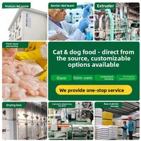 Nourriture sèche universelle pour chats, saveur poisson d'océan, nutrition complète, durée de conservation de 18 mois, pour chats adultes et chatons, nourriture quotidienne