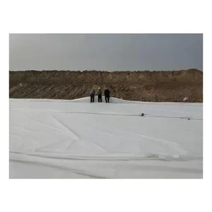 Komposit Hdpe geombrane antirembes membran Geometric dam liner bahan konstruksi jalan