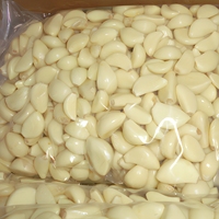 Ail frais pelé, gousses solitaires, qualité alimentaire, 5 cm, nouvelle récolte, directement du fabricant dans le Shandong, Chine