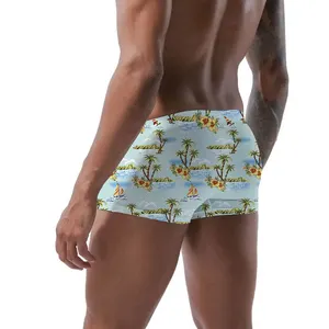 Men's Underwear Briefs Quick Dry Swim Shorts Swimsuit Boxer Briefs Trunks Swimwear Beachwear