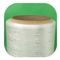 Filament PE 100% 300D 96F Filament PE Blanc Filament PE FDY