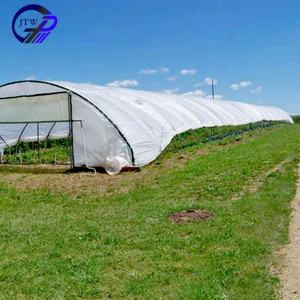 Serre miniature écologique à prix compétitif, idéale pour la maison, le jardin, les plantes et les légumes. - Product Image 5