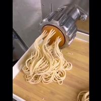 Machine à pâtes automatique électrique DAWNTECH pour restaurant, pour la fabrication de fusilli, spaghetti, macaroni, pâtes fines, 370W, 5kg/h