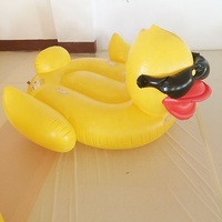 Flotteur de piscine gonflable géant personnalisé