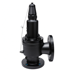 Vanne de sécurité à ressort en acier inoxydable 304 PN20, vente de liquidation B2B COVNA - Product Image 5