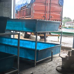 Bassin d'incubation rectangulaire extérieur en fibre de verre haute résistance pour poissons, avec services de soudage et de découpe, taille 2*6m pour l'aquaculture - Product Image 4