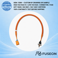 Harness Kabel PTC Pemanas Pendingin Tegangan Tinggi untuk Kontrol Termal Baterai EV PHEV 600V Kabel Tembaga OEM