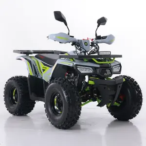 Tao Motor 2024 nuevo ATV 125 cadena automática China barata granja ATV 125cc ATV