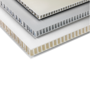 Panneau d'échafaudage en plastique de type contreplaqué RENOLIT PLYGOR DECK de qualité supérieure épaisseur 12 Mm PP - Product Image 1