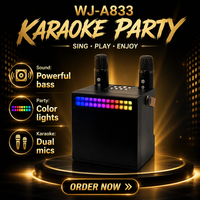 Speaker Karaoke Bluetooth HIFI Kompak Grosir dengan Dua Mikrofon dan Lampu LED RGB Warna-warni untuk Anak-anak dan Pesta Keluarga