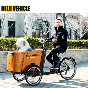 Vélo cargo néerlandais 250w <span class=keywords><strong>tricycle</strong></span> électrique avec siège vélo à 3 roues pour chien de compagnie - Product Image 5