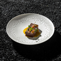 Sensation artistique Unique restaurant cinq étoiles hôtel porcelaine vaisselle fine plats en céramique assiette creuse en porcelaine peu profonde