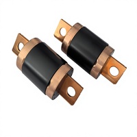 Fusible en alliage de cuivre haute tension pour VE DC500V 15A-50A, norme UL pour véhicules électriques hybrides, circuit basse température, vente en gros