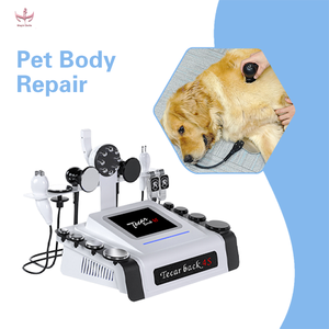 Magic <b>Belle</b> Pet TECAR Therapy Machine Veterinary Body Repair Device Shockwave Therapy Equipment for <b>Dogs</b> and Cats Commercial use - Product Image 1