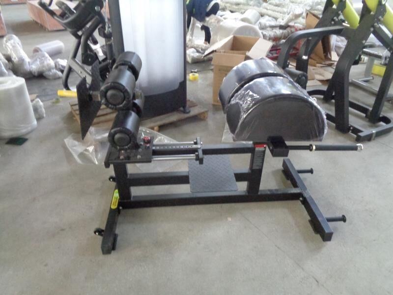 【定価18万】バックエクステンション Cybex プレステージ・ストレングスVRSシリーズ バック