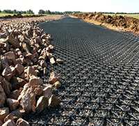 Filet de clôture de jardin en PP avec des trous carrés de 3 cm, adapté au renforcement des sous-terres routiers, à la protection des vergers et aux enclos pour bétail.