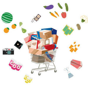 Servicio de Compras Profesional FTS 1688, Agente de Envío a Rumania, España, Polonia, Europa, Servicios de Inspección - Product Image 2