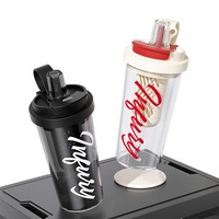 Bouteille d'eau avec paille et infuseur à thé, gourde de sport anti-fuite pour la salle de sport, le bureau et les voyages, tasse à boire en plastique Tritan sans BPA