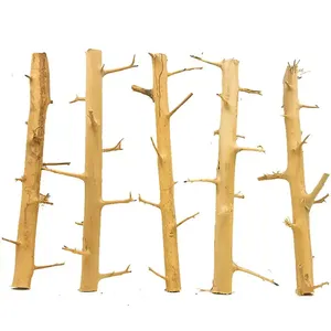 Madera Decorativa para Acuarios, Madera Flotante con Espinas para Paisajismo Acuático - Product Image 1