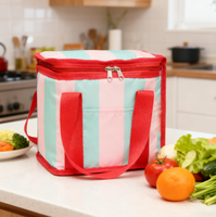 Sac isotherme pliable et réutilisable écologique en polyester 300D, sac de pique-nique portable pour femme, mode été, 7L, multi-usages