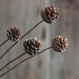 Nouvelles idées de produits 2025 <span class=keywords><strong>Auchentoshan</strong></span> feuilles d'eucalyptus pommes de pin Lotus coton fleurs séchées fleur sèche pour diffuseur d'aromathérapie - Product Image 2