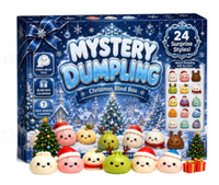 Calendrier de l'Avent 2027 : Boîte Mystère de Noël avec Jouets DIY, Squishy Baozi et Calendrier Déchirable pour le Plaisir de Gribouiller