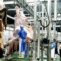 Ligne d'abattage de bétail industrielle, équipement d'abattoir automatique pour bovins, ligne de transformation de la viande de bœuf