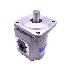 Nueva Bomba de Aceite para Engranajes HCHC Original CBG2080/2032-BFPL Z2100-BLP 2063-BFHL Z/TCX-BLH - Product Image 1