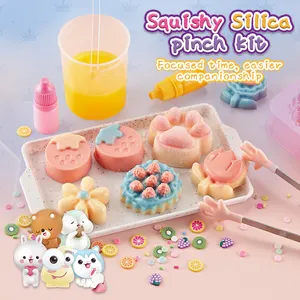 Nieuwigheid Hot Selling Educatieve Diy Food Squishy Speelgoed Stress Reliëf Schattige Silica Pinch Kit