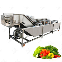Industriële Verse Groente Fruit Reiniging Drogen Verwerking Machines Droge Data Wasmachine Voor Verkoop
