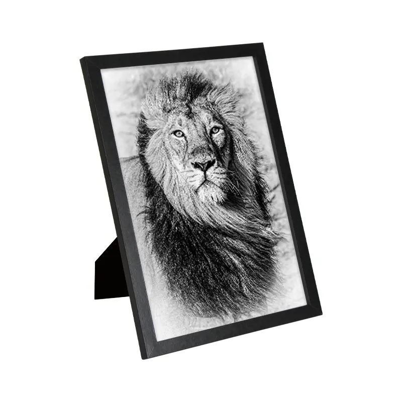 Jinn Home A4 Lion Picture Black Wrapped Wood Photo Frame with Easel and Hook