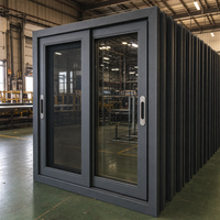 Fenêtres coulissantes horizontales en alliage d'aluminium sur mesure avec moustiquaire en acier inoxydable, conception coupe-vent pour extérieur, hôtel, salon