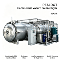 REALDOT Commerciële Vriesdrooginstallatie, Grote Capaciteit Voedselvriesdroogmachine voor Fruit, Groenten, en Huisdierenvoederverwerking