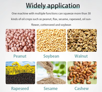 Commerciële huishoudelijke oliepersmachine voor pinda's, sesam, zonnebloem, kokosnoot, olijf, sojabonen en palmolie.