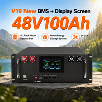 Kotak Baterai Kosong Tahan Benturan 4U untuk Sel Lithium 51.2V 100Ah, Housing Perakitan DIY, Opsional JK BMS untuk Array Penyimpanan Energi