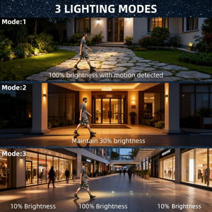 Promotion : Lampe murale extérieure étanche Alecter Solar APH-L36 IP65 en silicium monocristallin certifiée TUV pour grandes exploitations agricoles 8-10 - Product Image 5