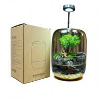 Kit de terrarium pour sol de jardin Eden's Pond, style campagnard avec fibre et lampe