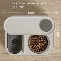 Distributeur d'eau automatique pour animaux de compagnie, mangeoire et abreuvoir en un seul appareil, bols en acier inoxydable, bol à eau potable pour chats ou chiens
