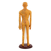 Modèle d'entraînement à l'acupuncture chinoise, mannequin d'exercice d'acupuncture médicale avec muscles