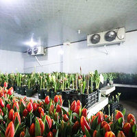 Congélateur froid commercial de salle de stockage de refroidisseur d'affichage de refroidisseur de fleur avec le réfrigérateur de portes en verre pour des fleurs