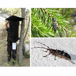 Thông Sawyer Bọ Cánh Cứng quan hệ tình dục Pheromone chéo bẫy nhựa côn trùng Catcher thu hút sản phẩm cấp bằng sáng chế cho khối lượng bẫy - Product Image 2