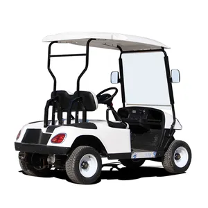 Yüksek kaliteli uzun menzilli düşük hız 4 tekerlekli kulüp sürücü lityum pil 2 koltuk Buggy elektrikli Golf arabası