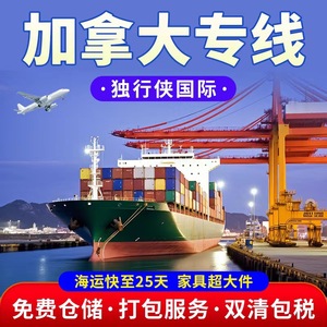 Lone Rangers International Freight Forwarding : Expédition Express LCL Canada-USA, Logistique Maritime, Aérienne et Routière, Service d'Entrepôt Mondial - Product Image 2