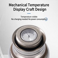 Bouteille Isotherme Portable en Titane Pur avec Couvercle Magnétique, Rainurée, Multicolore, pour Infuseur à Thé et Café, Idéale pour le Bureau ou comme Cadeau d'Affaires