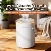 Mini nébuliseur à atomisation personnalisable, alimenté par USB, aide au sommeil, bruit esthétique, nébuliseur ultrasonique, humidificateur d'air