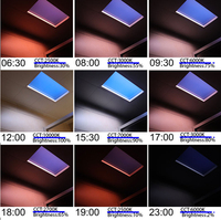 Maison intelligente Contrôle Wifi Led artificielle Lumière du jour naturelle Lumière du ciel bleu Panneau de plafond à LED Puits de lumière artificielle