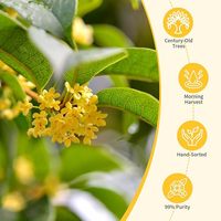 Fleur d'Osmanthus Gui Hua séchée, disponible en diverses spécifications, technique de séchage naturel, Fujian, Chine