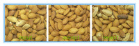 Machine de tri des noix multifonctionnelle à prix de gros usine pour la classification des noix de cajou, amandes, noisettes et toutes les noix sèches