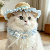 Chapeau de paille d'été de haute qualité pour animaux de compagnie avec dentelle, ensemble de bavoirs pour animaux de compagnie, accessoires de photographie pour chiens et chats